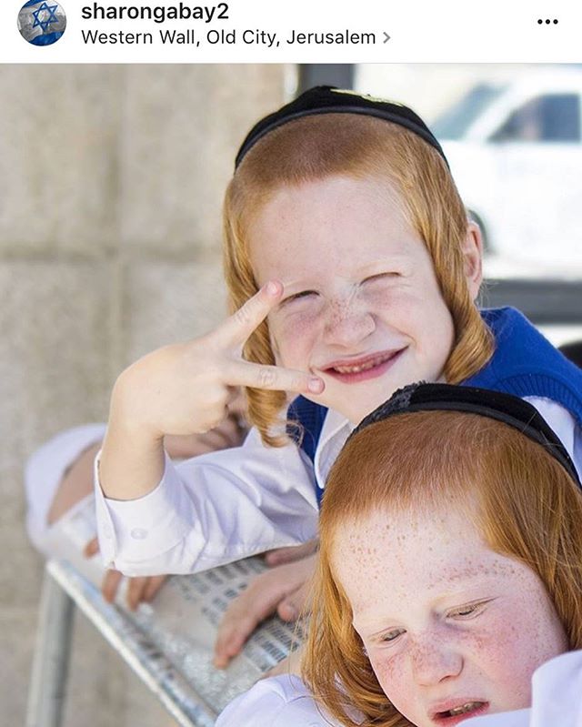 Good Shabbos ?️